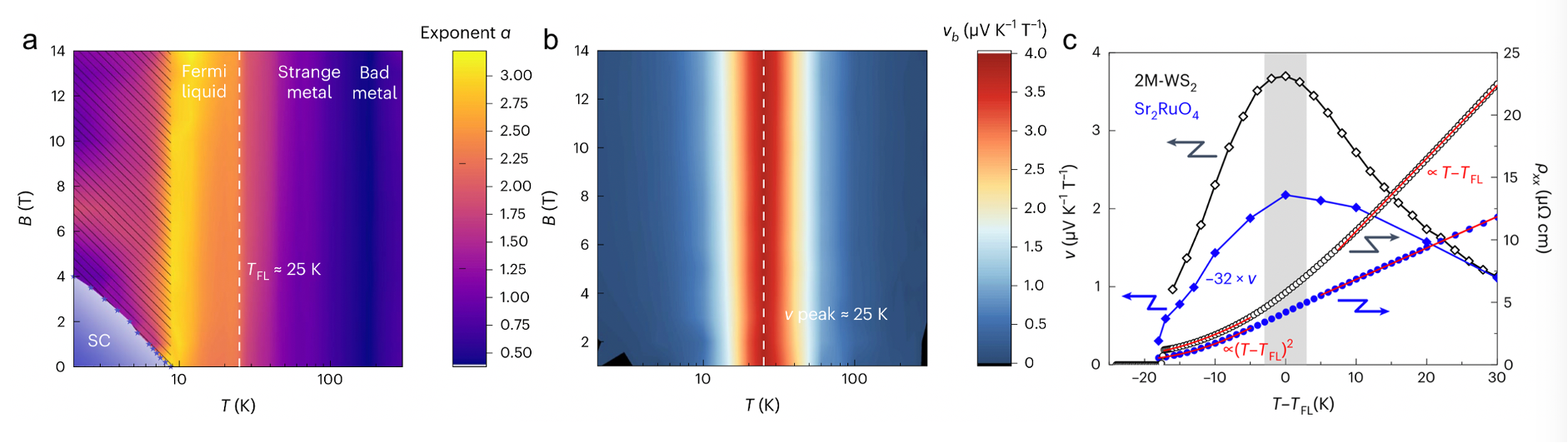 1673921608358189.png Fig.2.png